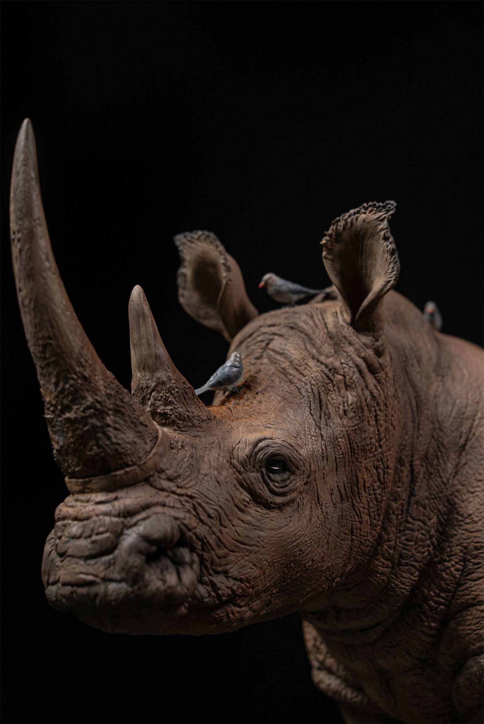 De CLAY Studio White rhinoceros Model