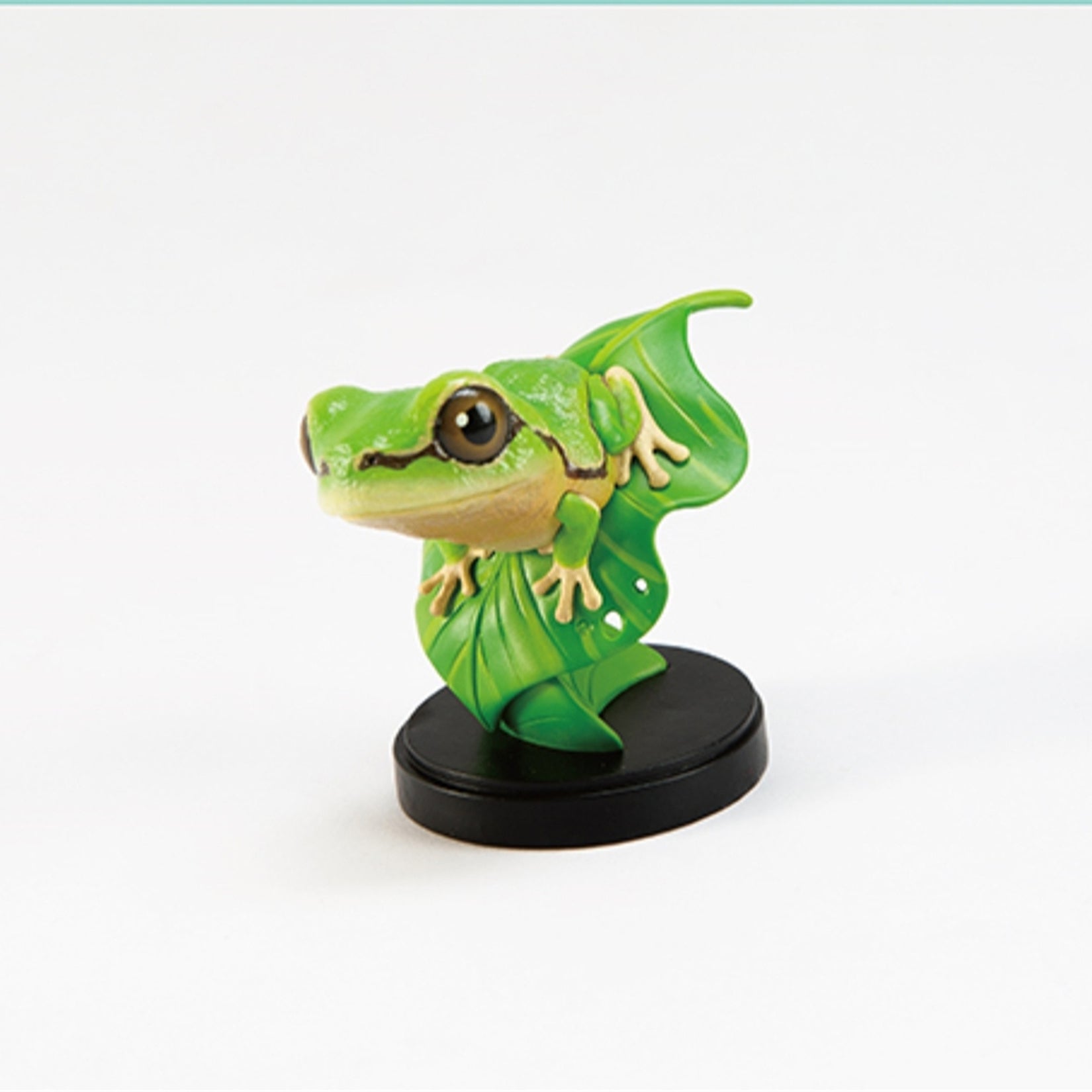 Hongshan Forest Zoo Spotless Tree Frog Model