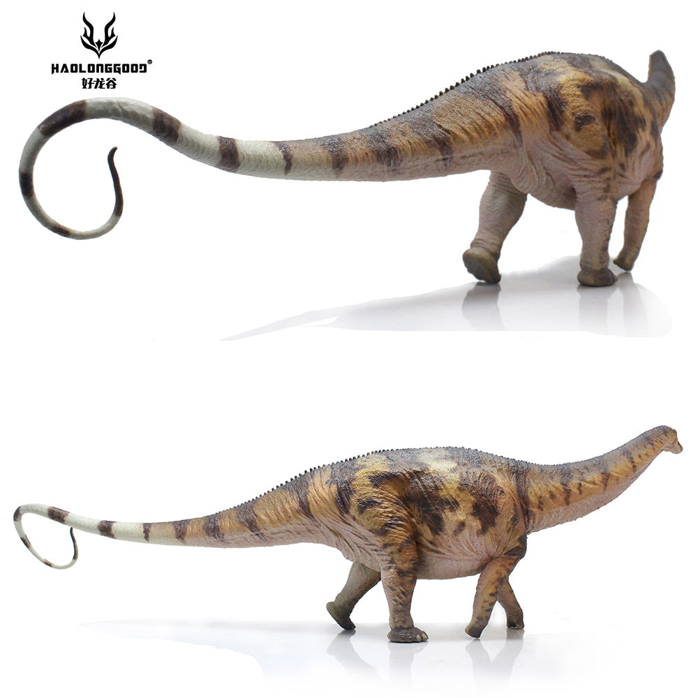 HAOLONGGOOD 1:35 Scale Apatosaurus Model