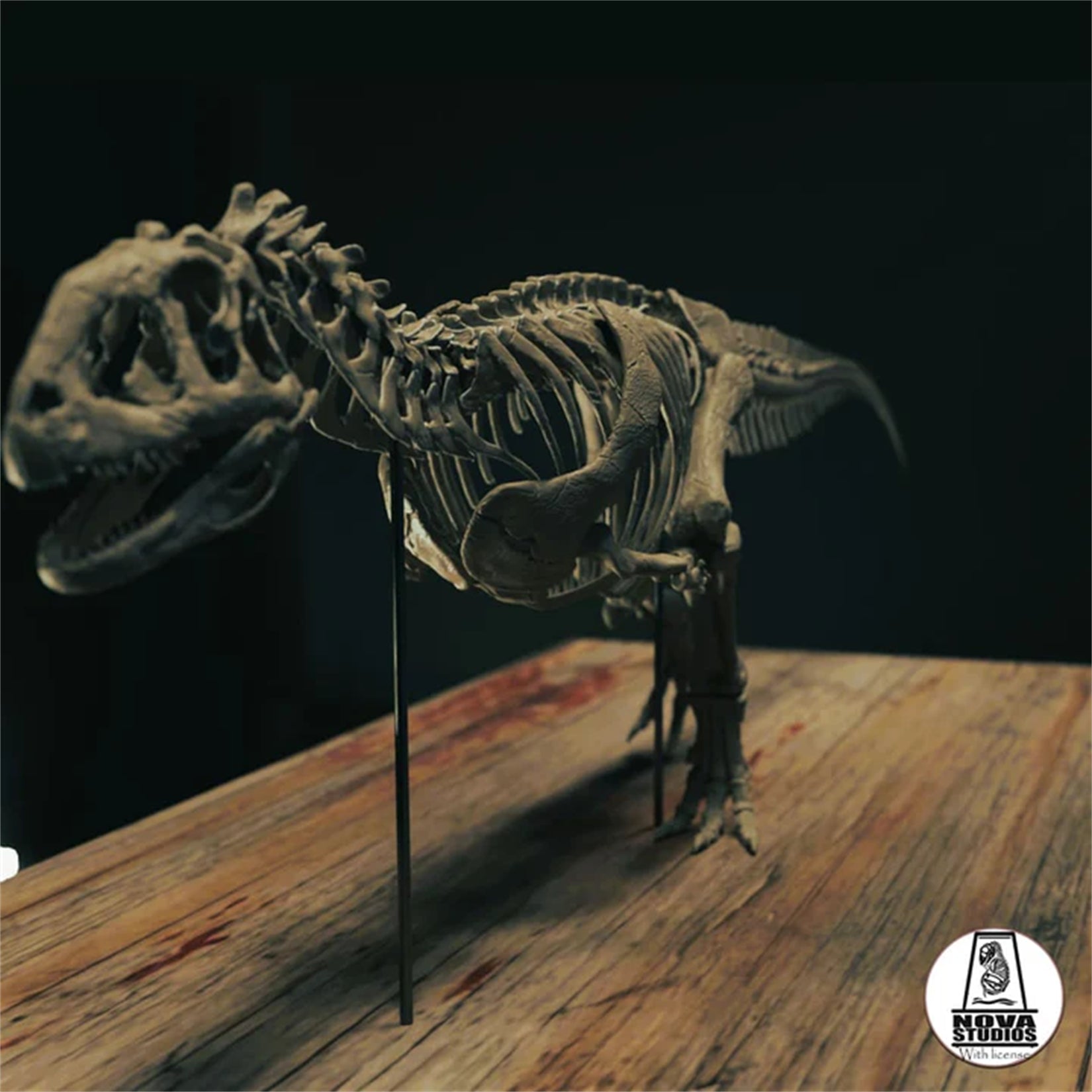Nova Studio 1/6 Scale Majungasaurus crenatissimus keleton Model