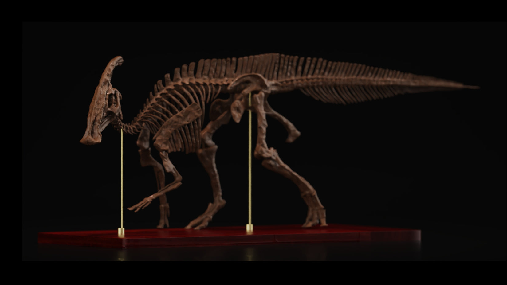 Nova Studio 1/15 Scale Parasaurolophus walkeri Skeleton Model
