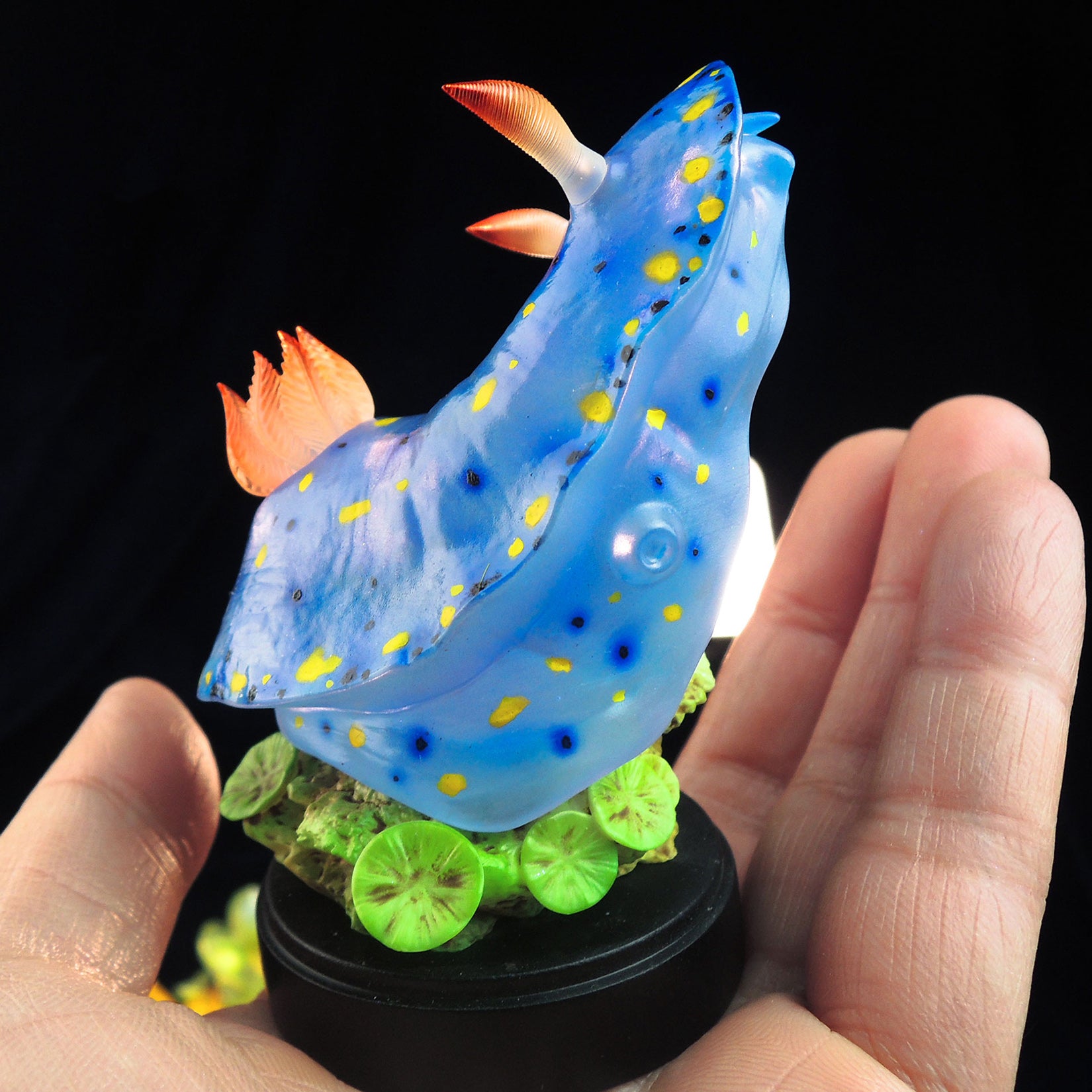 Sea Sprite 03 Series Model