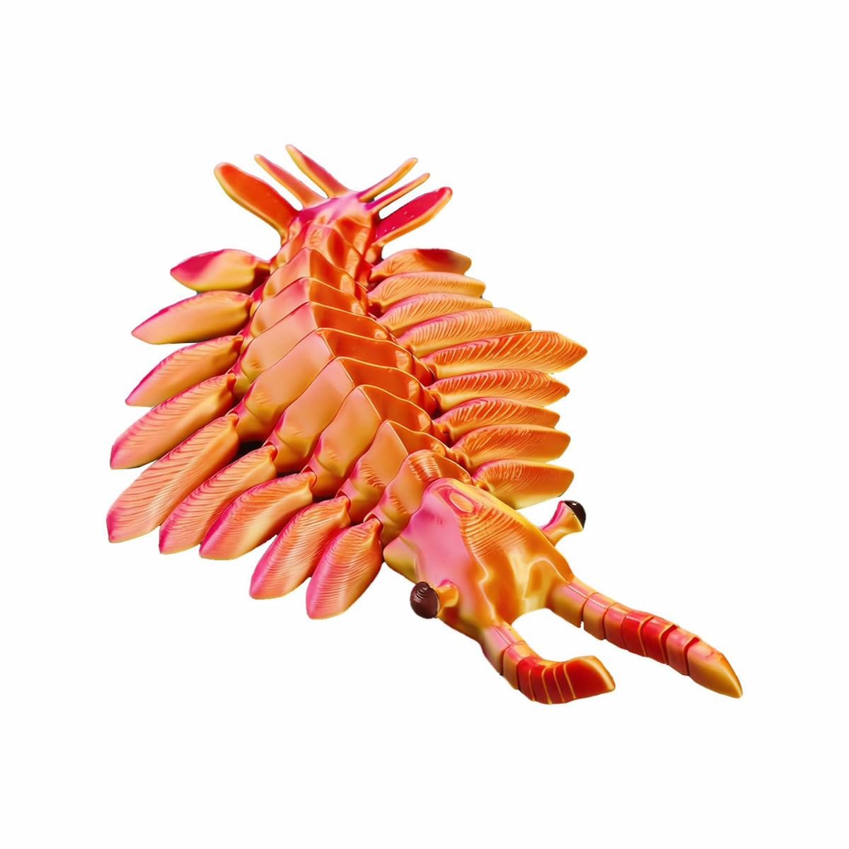 3D Printed Articulated Anomalocaris Prehistoric Creature Model