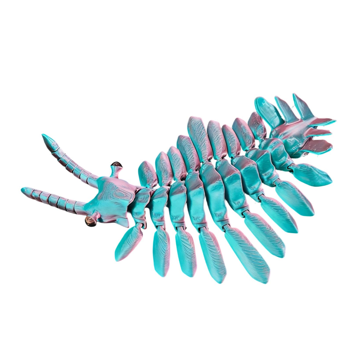 3D Printed Articulated Anomalocaris Prehistoric Creature Model