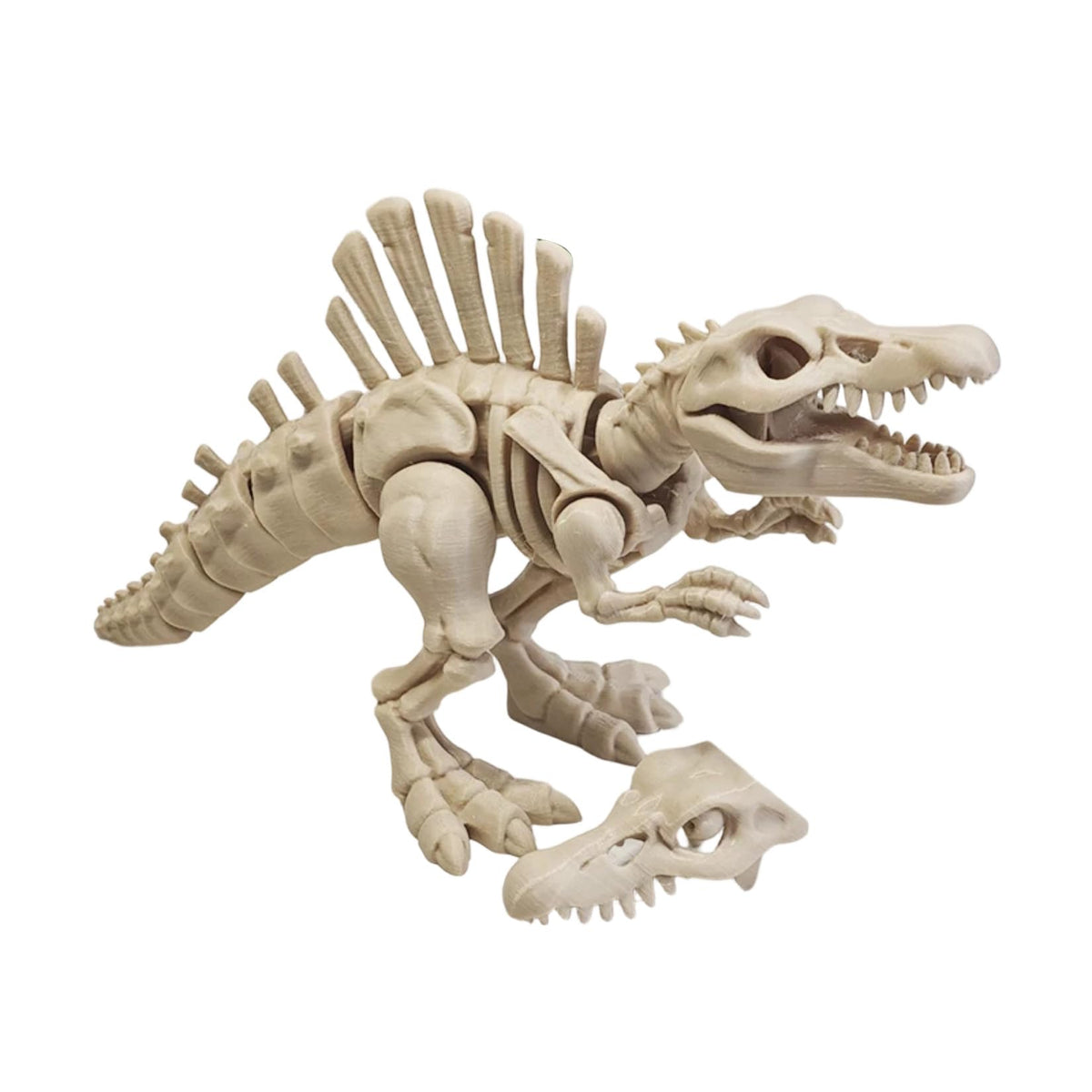 3D Printed Articulated Spinosaurus Figure Dinasaur Model