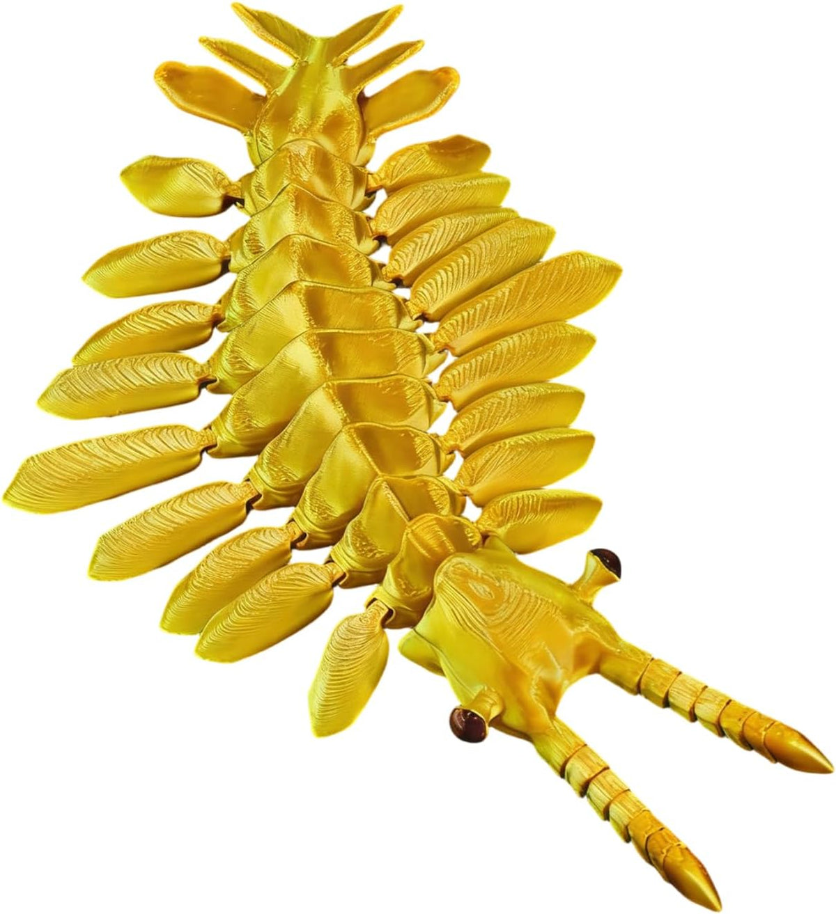 3D Printed Articulated Anomalocaris Prehistoric Creature Model