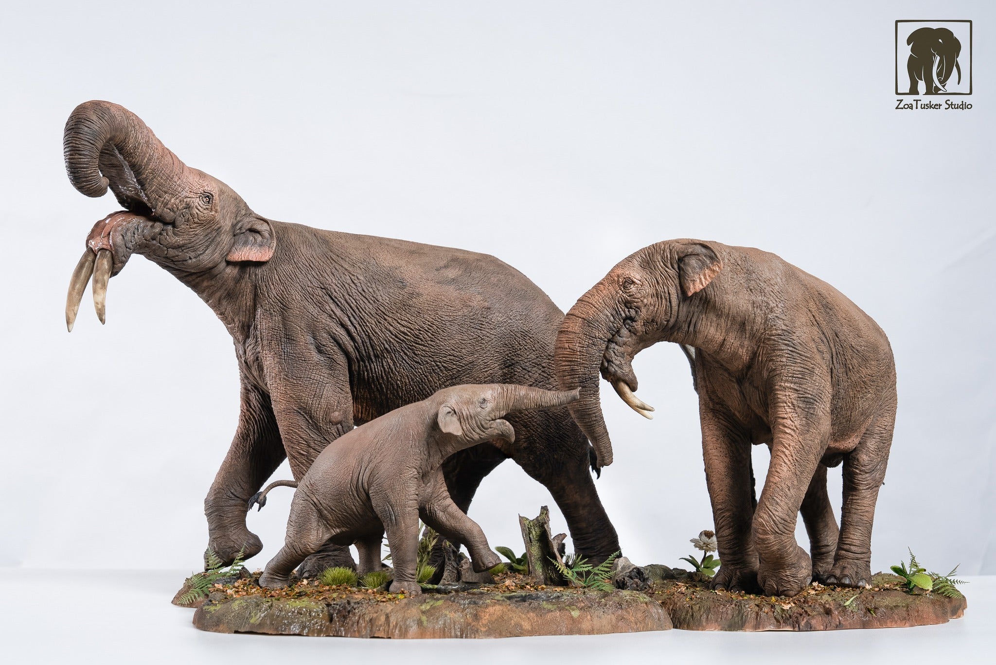 Shipping Balance for Deinotherium giganteum + Archaeopteryx lithographica Model