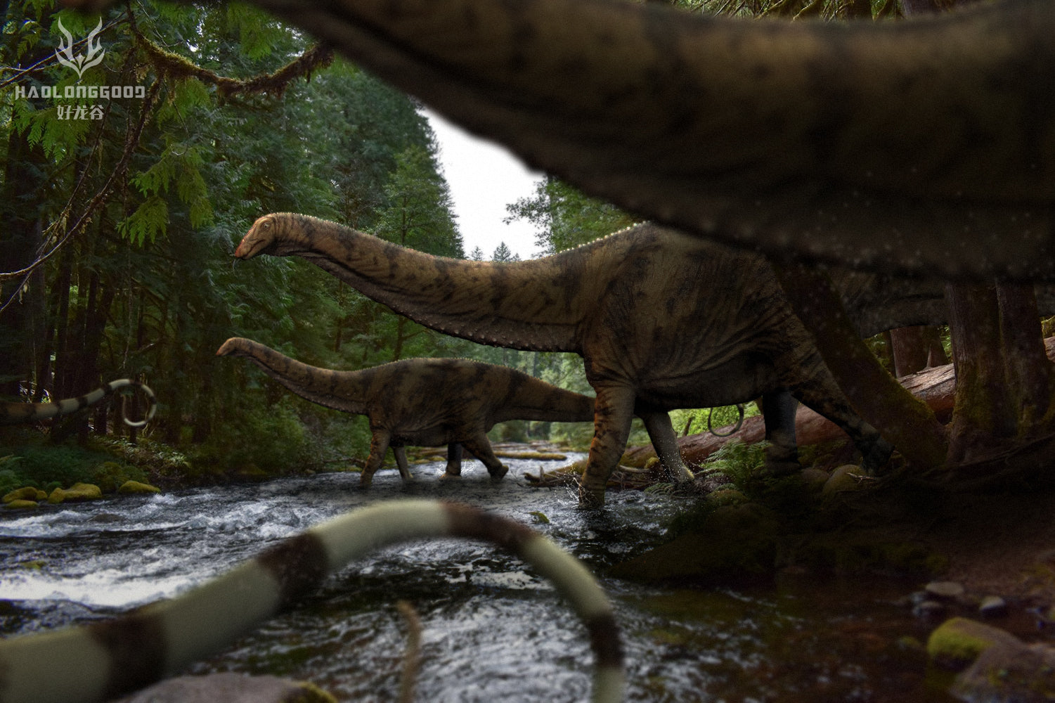 HAOLONGGOOD 1:35 Scale Apatosaurus Model