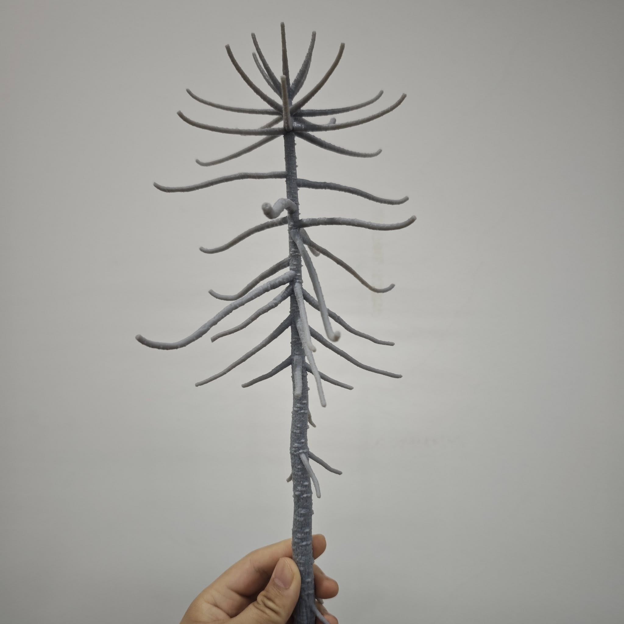 SHOWANNA Andesaurus delgadoi Model