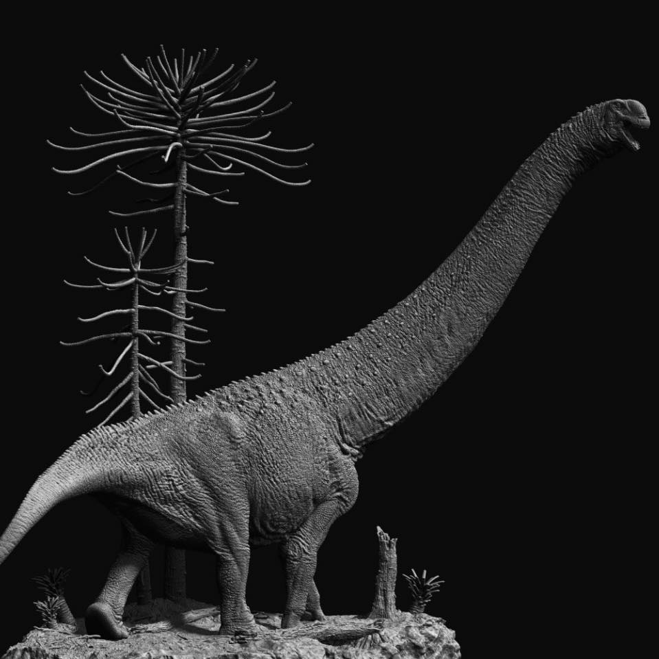 SHOWANNA Andesaurus delgadoi Model