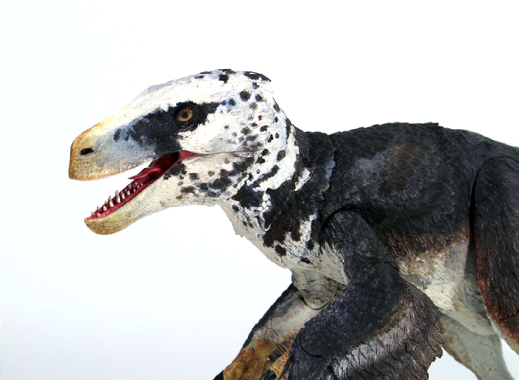 Beasts of the Mesozoic Utahraptor ostrommaysi - 1/18th scale