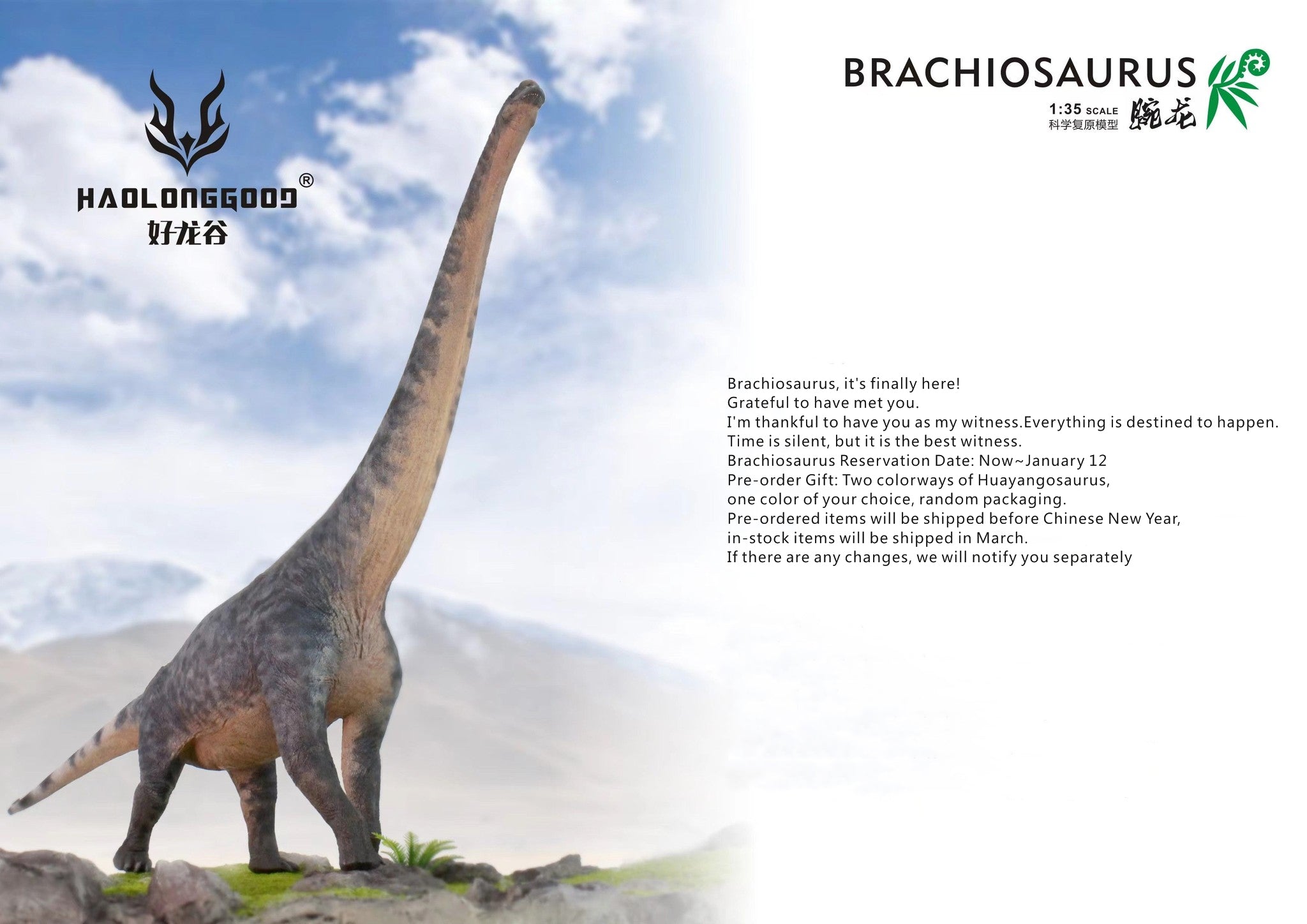 HAOLONGGOOD 1:35 Scale Brachiosaurus Model