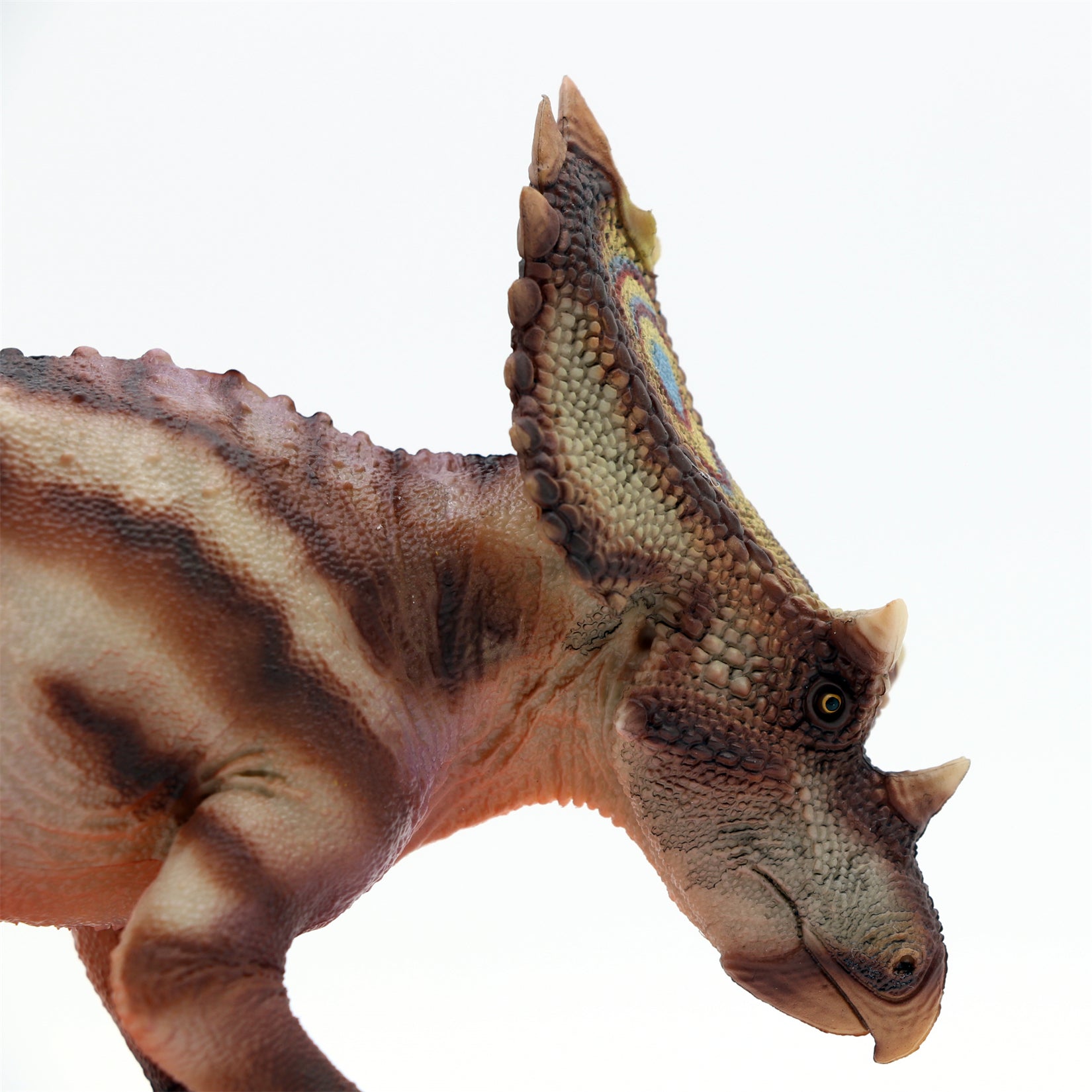 HAOLONGGOOD 1:35 Scale Utahceratops Model