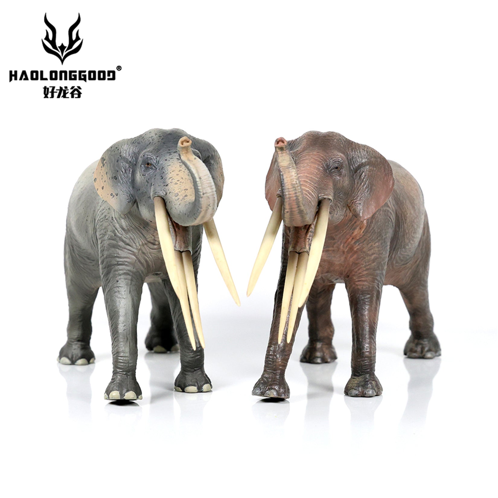 HAOLONGGOOD 1:35 Scale Stegotetrabelodon Model