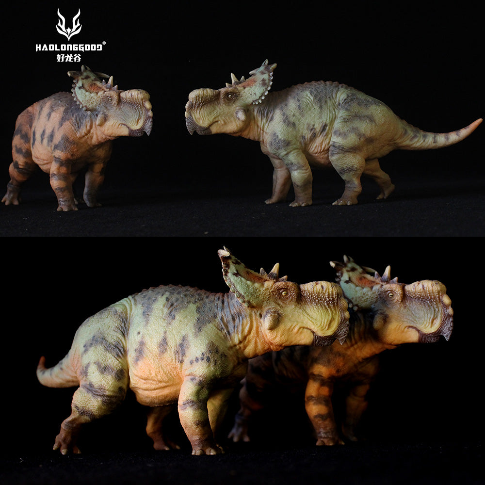 HAOLONGGOOD 1:35 Scale Pachyrhinosaurus Model