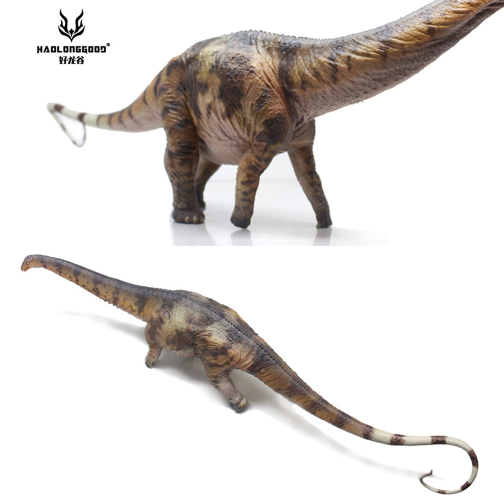 HAOLONGGOOD 1:35 Scale Apatosaurus Model
