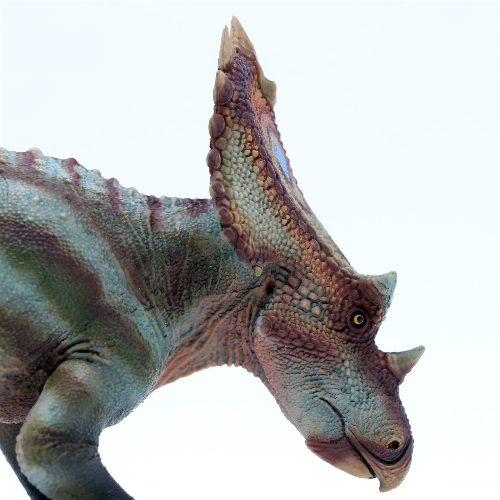 HAOLONGGOOD 1:35 Scale Utahceratops Model