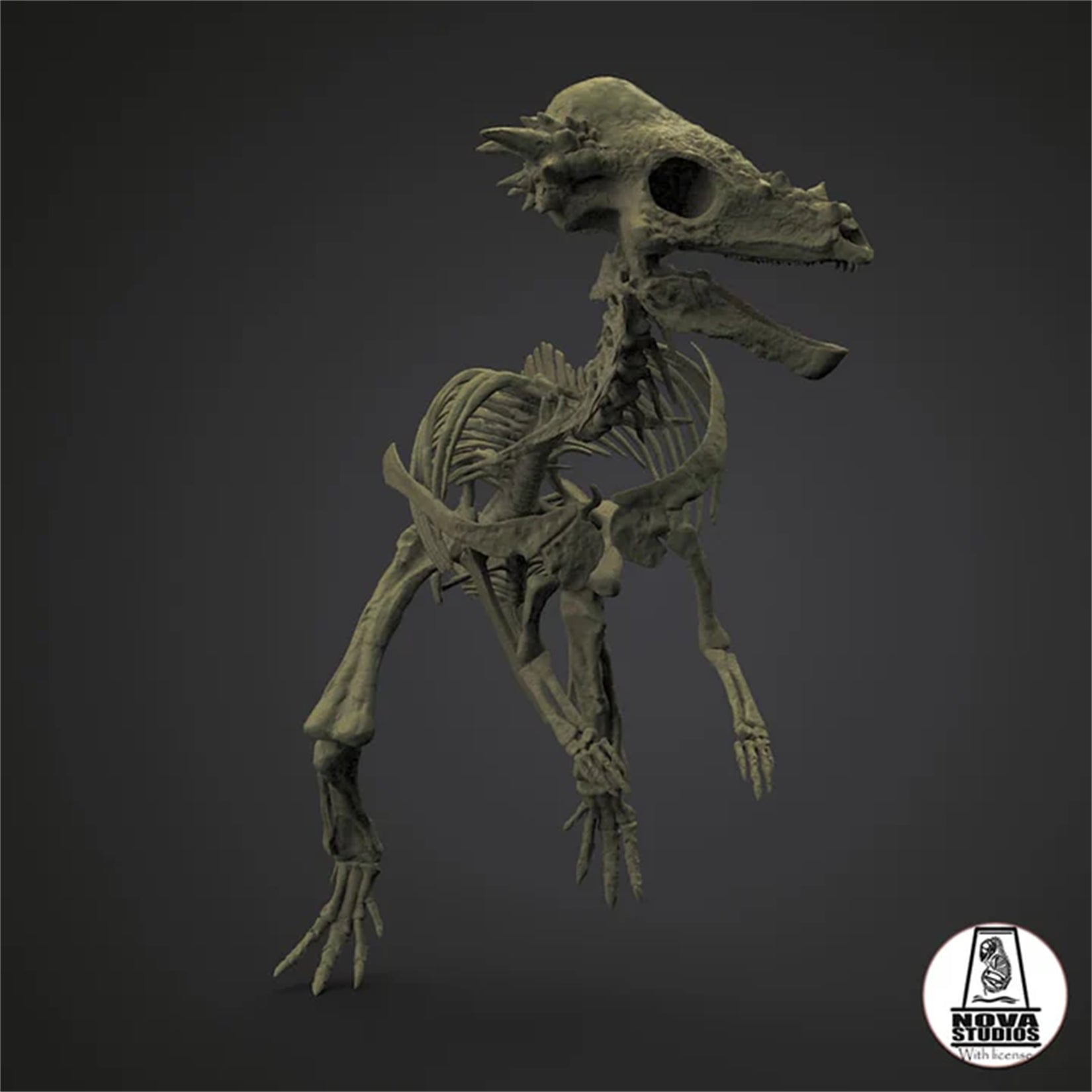 Nova Studio 1/8 Scale Pachycephalosaurus wyomingensis Skeleton Model