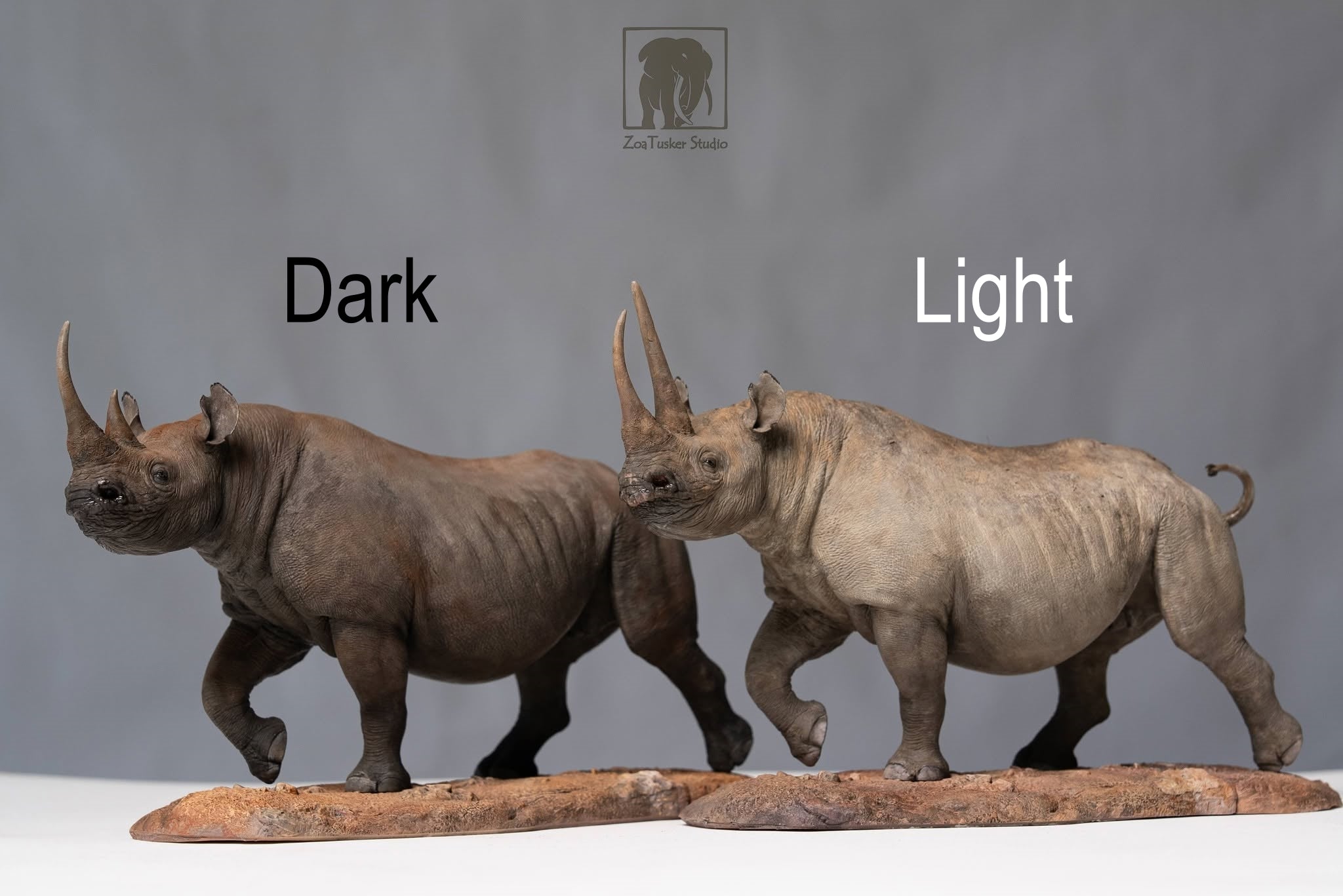 ZoaTusker Studio Black Rhinoceros Model