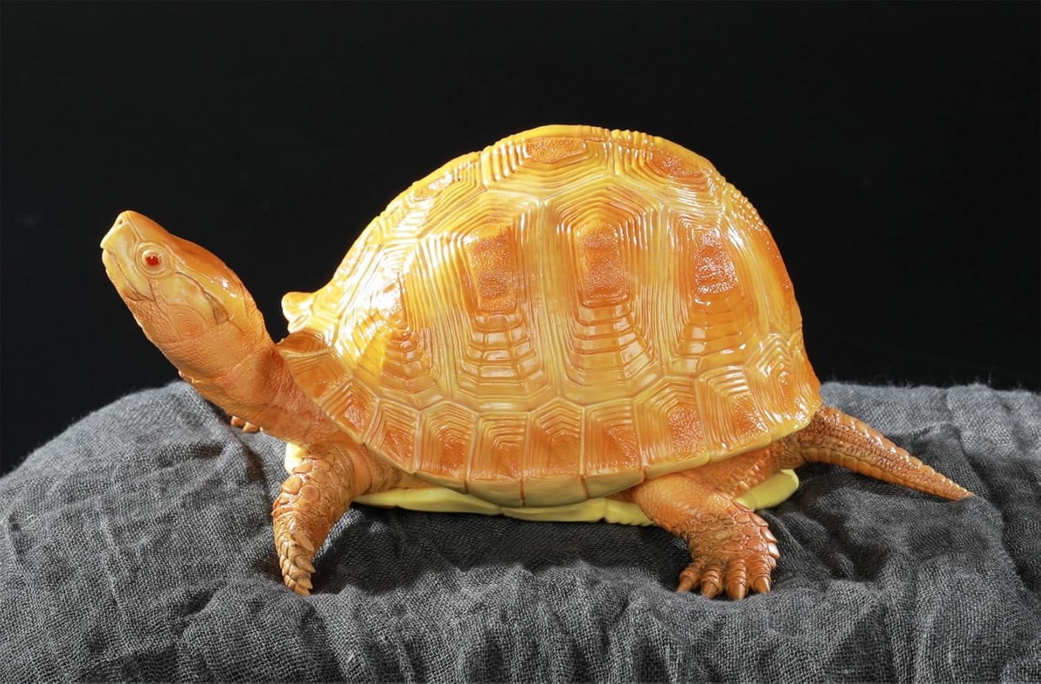 Yellow-margined Box Turtle Figure