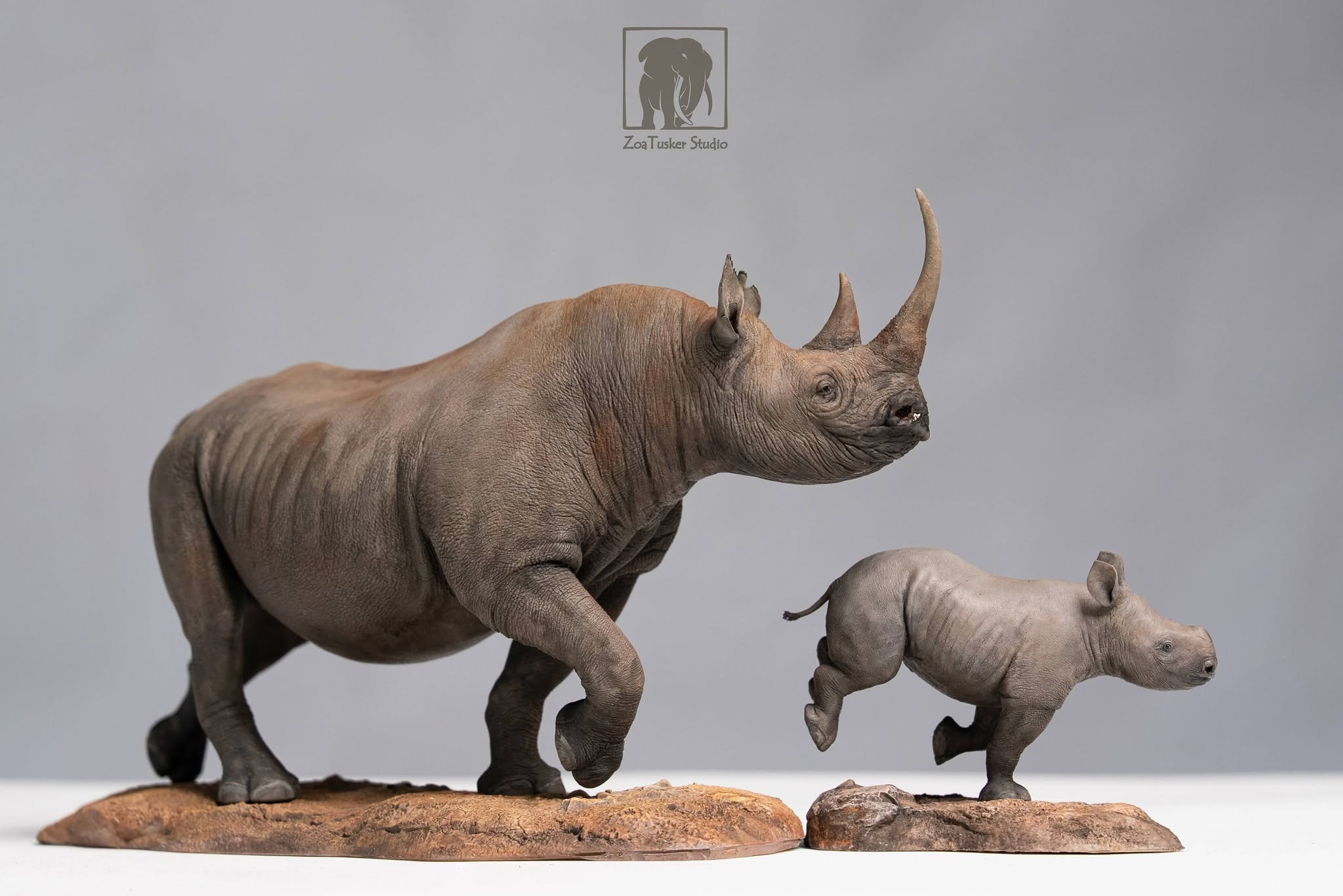 ZoaTusker Studio Black Rhinoceros Model
