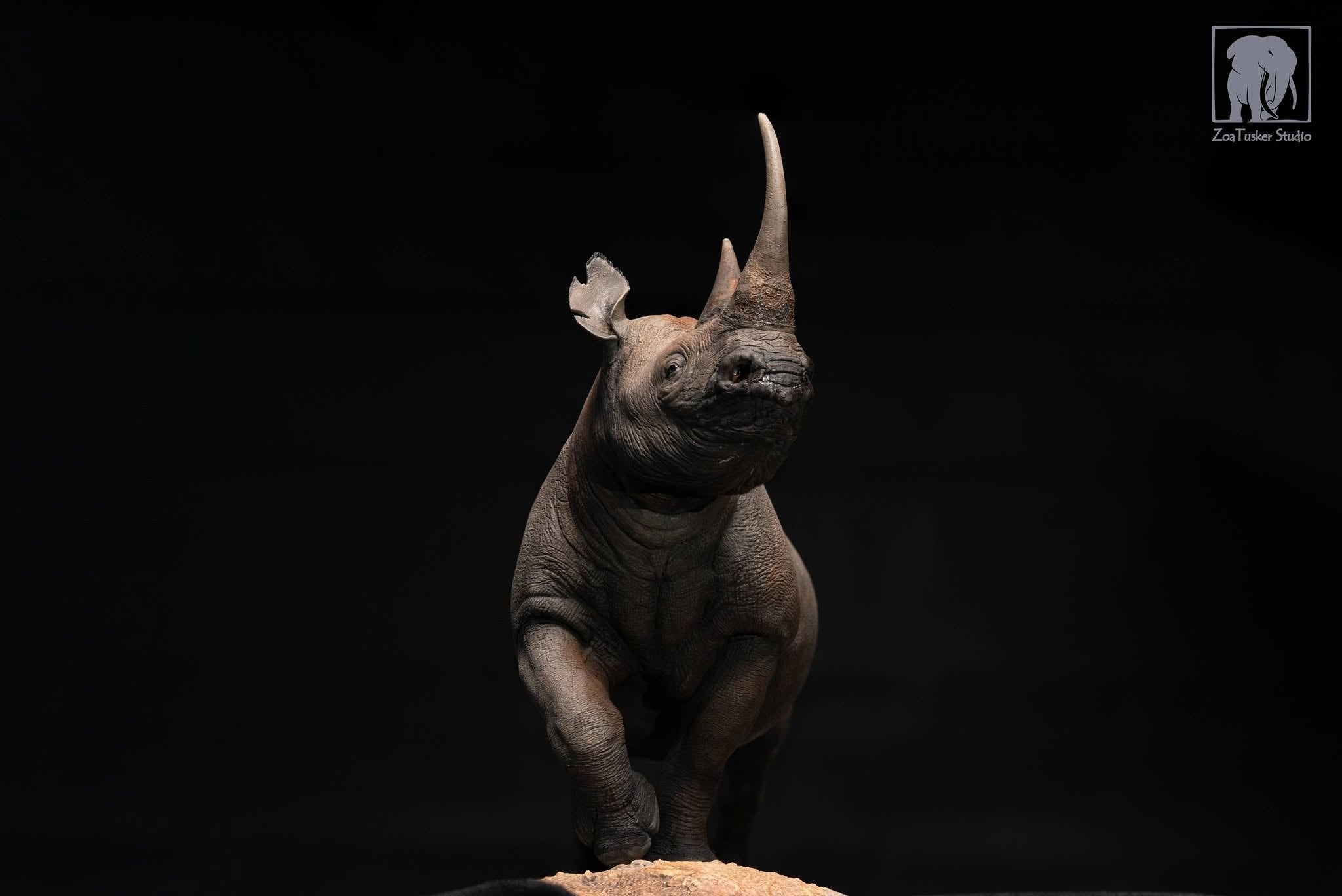 ZoaTusker Studio Black Rhinoceros Model