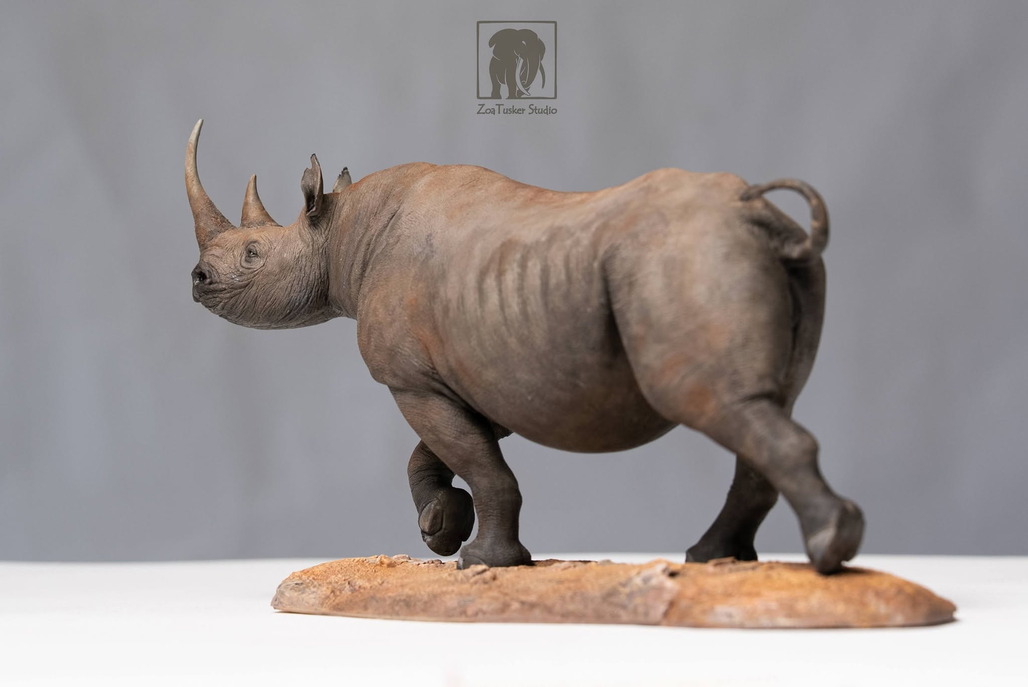 ZoaTusker Studio Black Rhinoceros Model