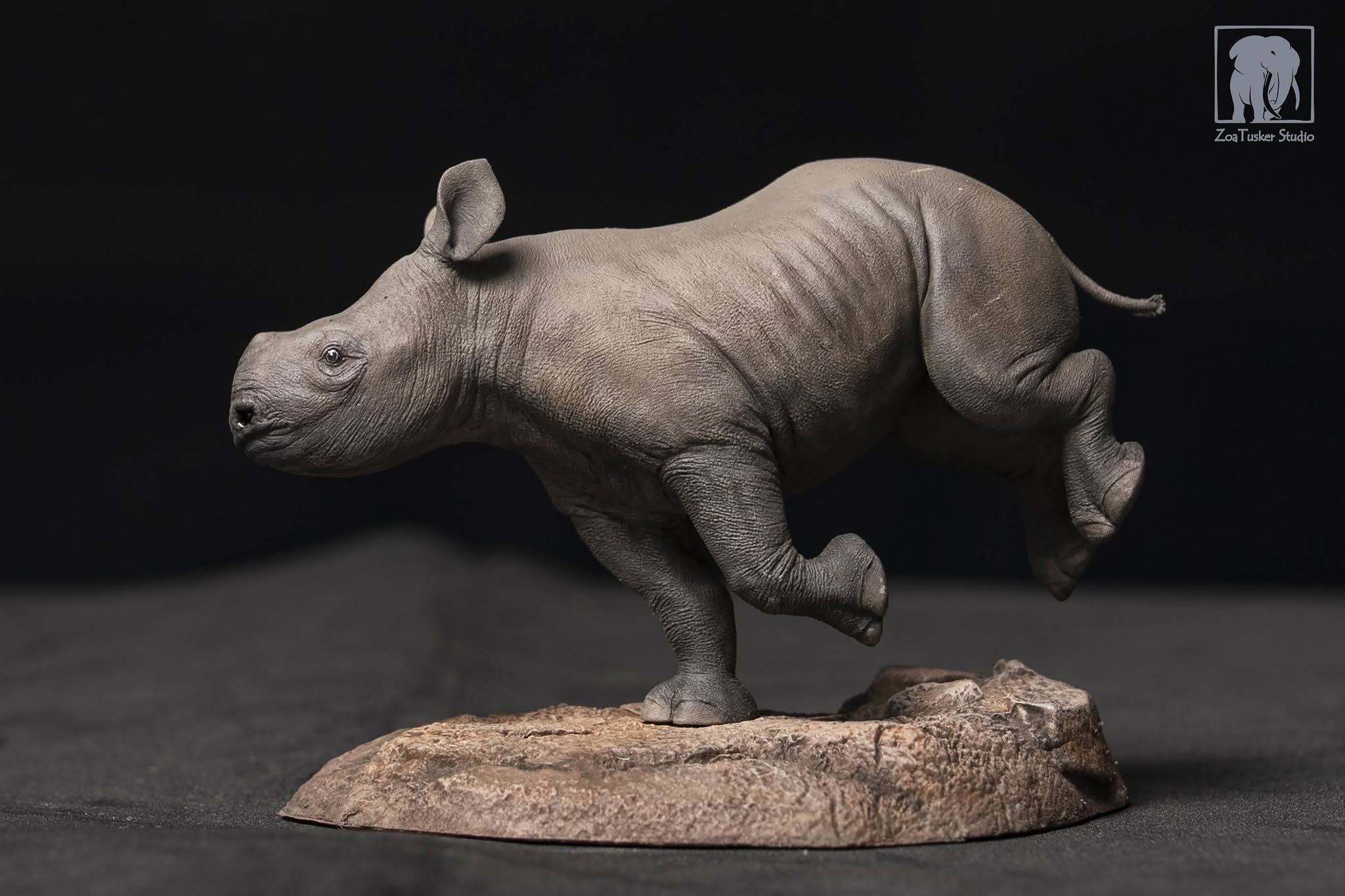 ZoaTusker Studio Black Rhinoceros Model
