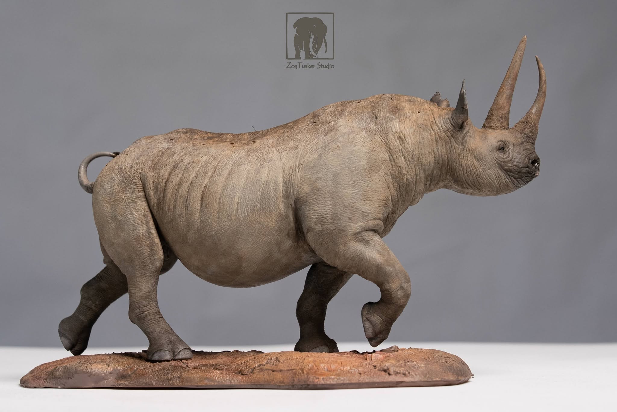 ZoaTusker Studio Black Rhinoceros Model
