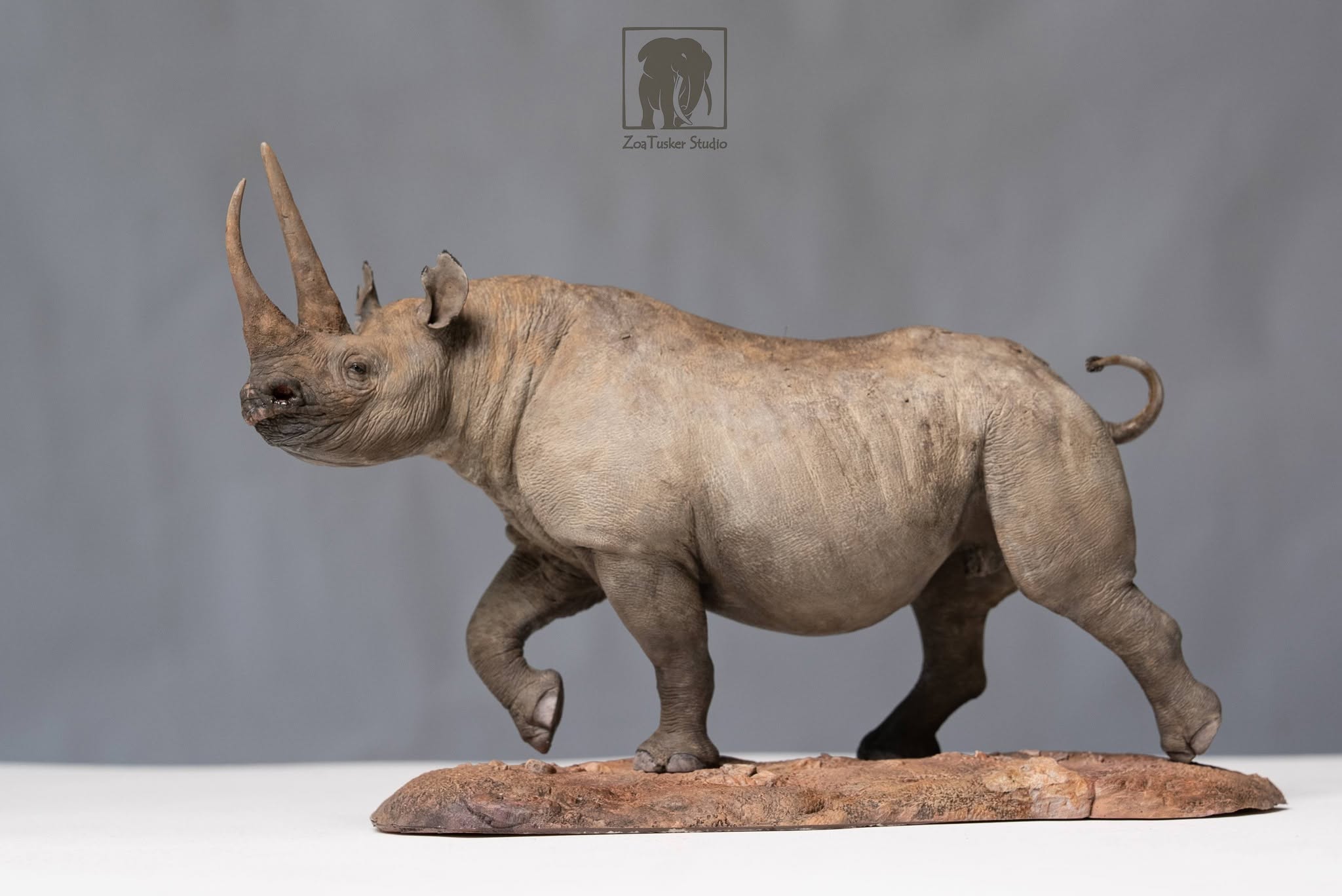 ZoaTusker Studio Black Rhinoceros Model