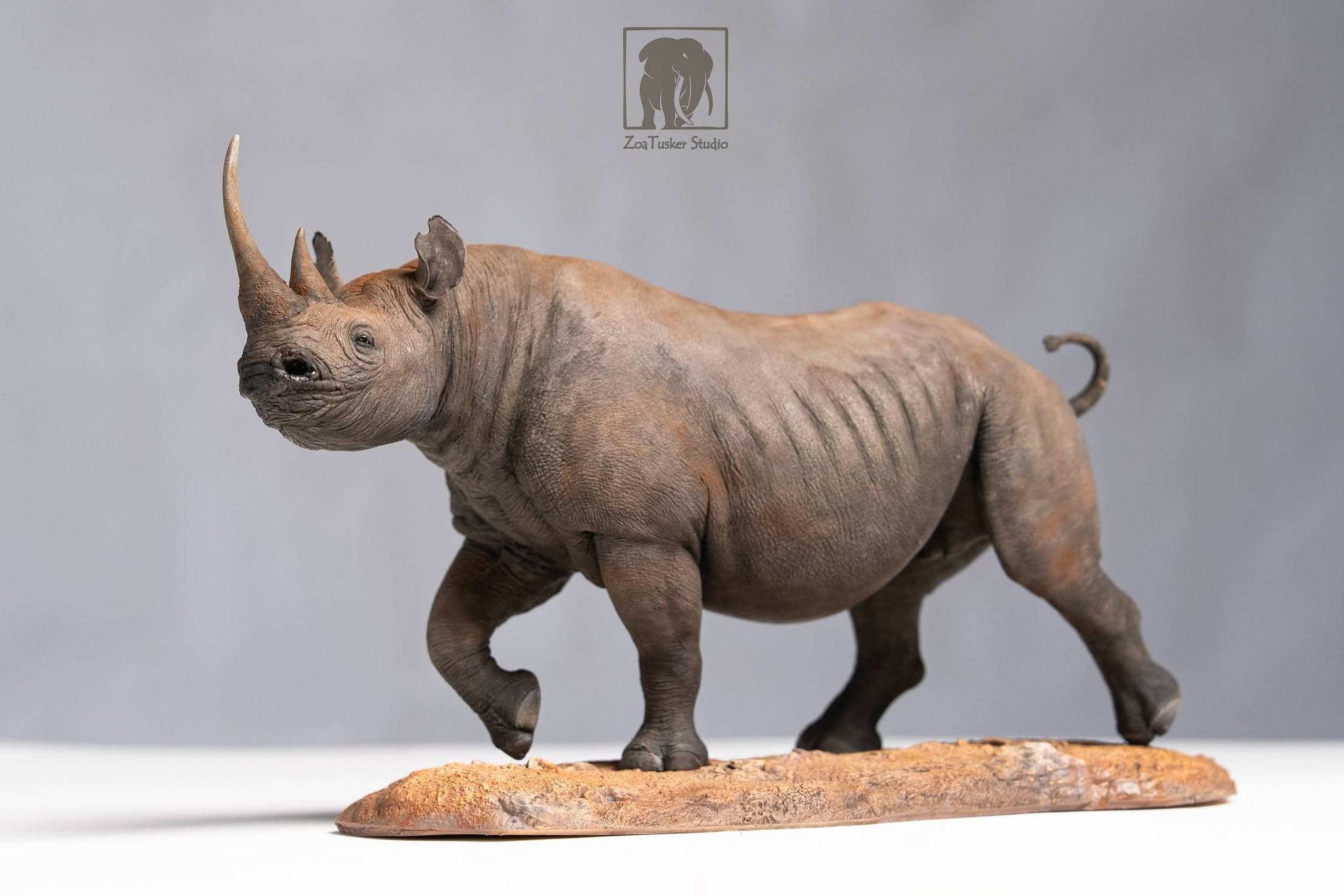 ZoaTusker Studio Black Rhinoceros Model