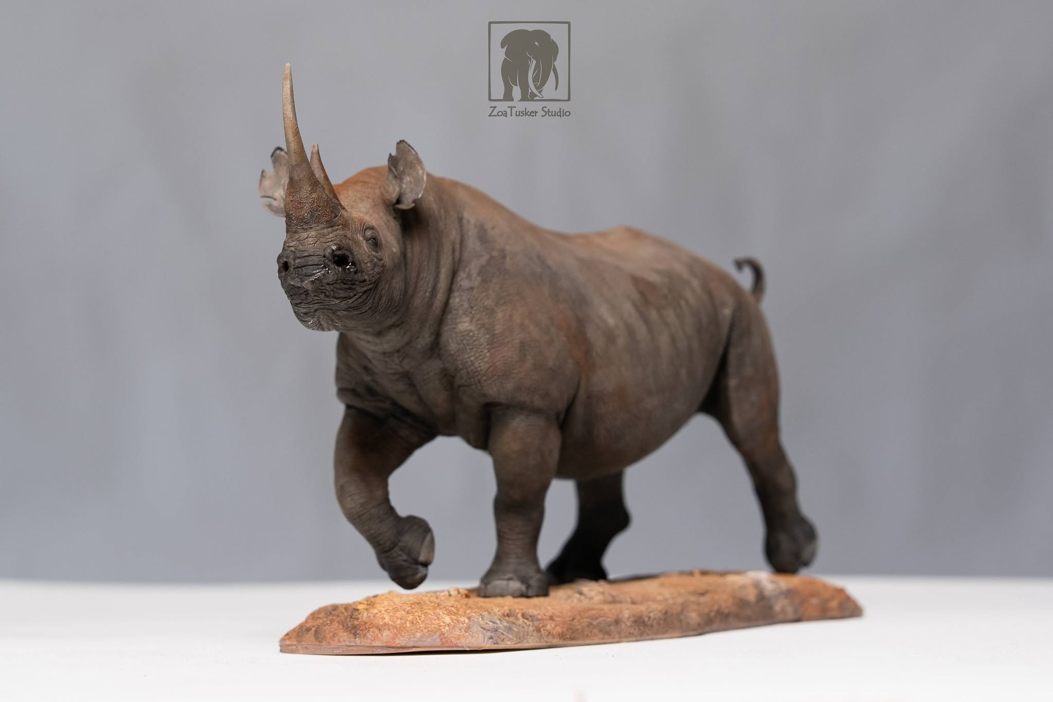 ZoaTusker Studio Black Rhinoceros Model