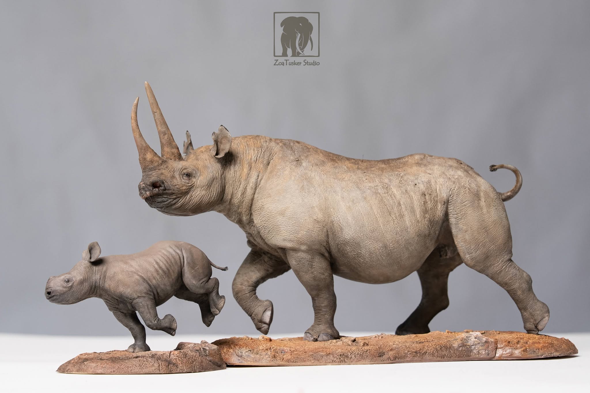 ZoaTusker Studio Black Rhinoceros Model