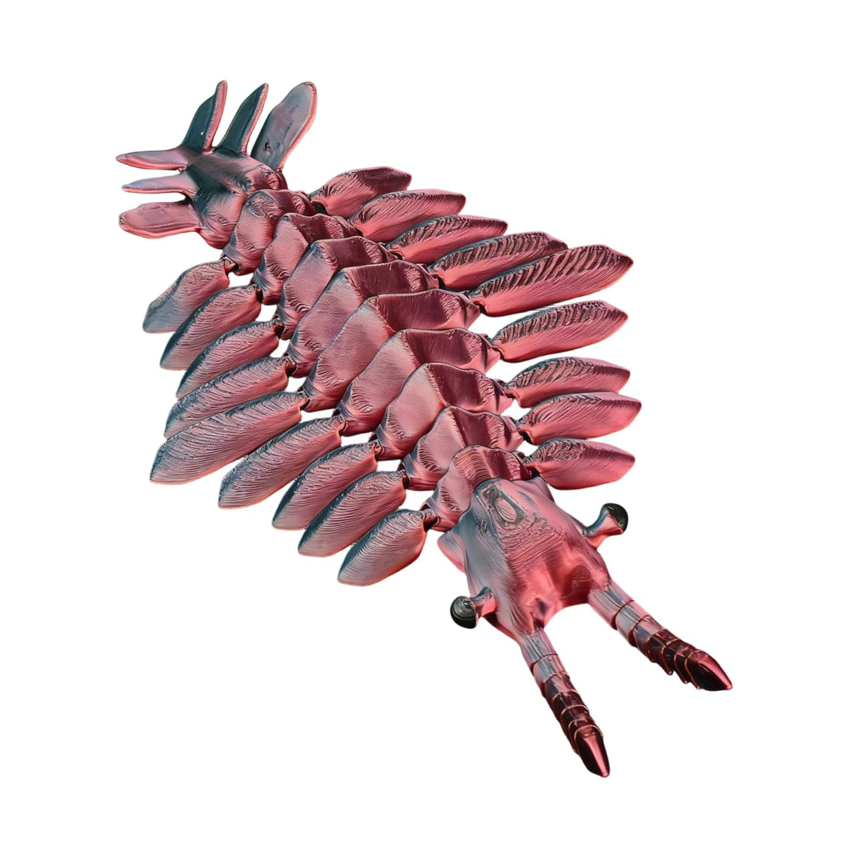 3D Printed Articulated Anomalocaris Prehistoric Creature Model