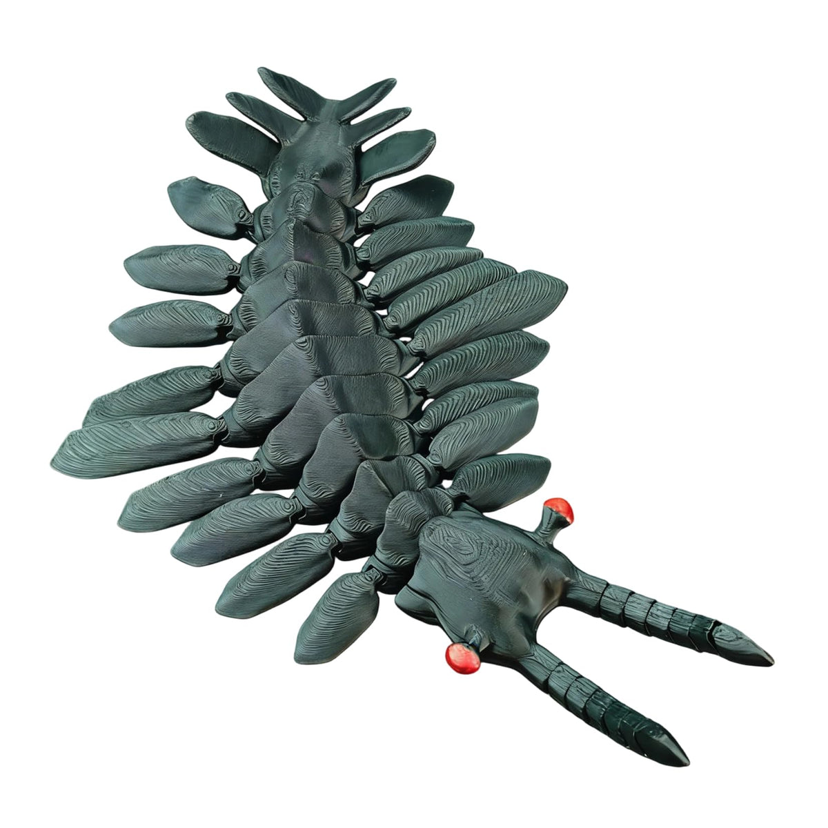 3D Printed Articulated Anomalocaris Prehistoric Creature Model