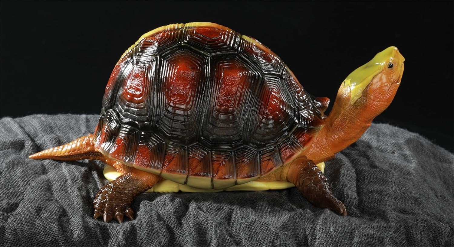 Yellow-margined Box Turtle Figure