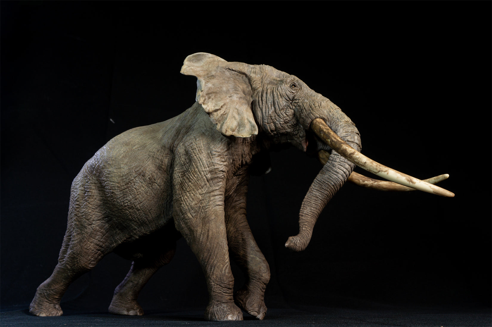 De CLAY Studio African Elephant battling bulls Statue