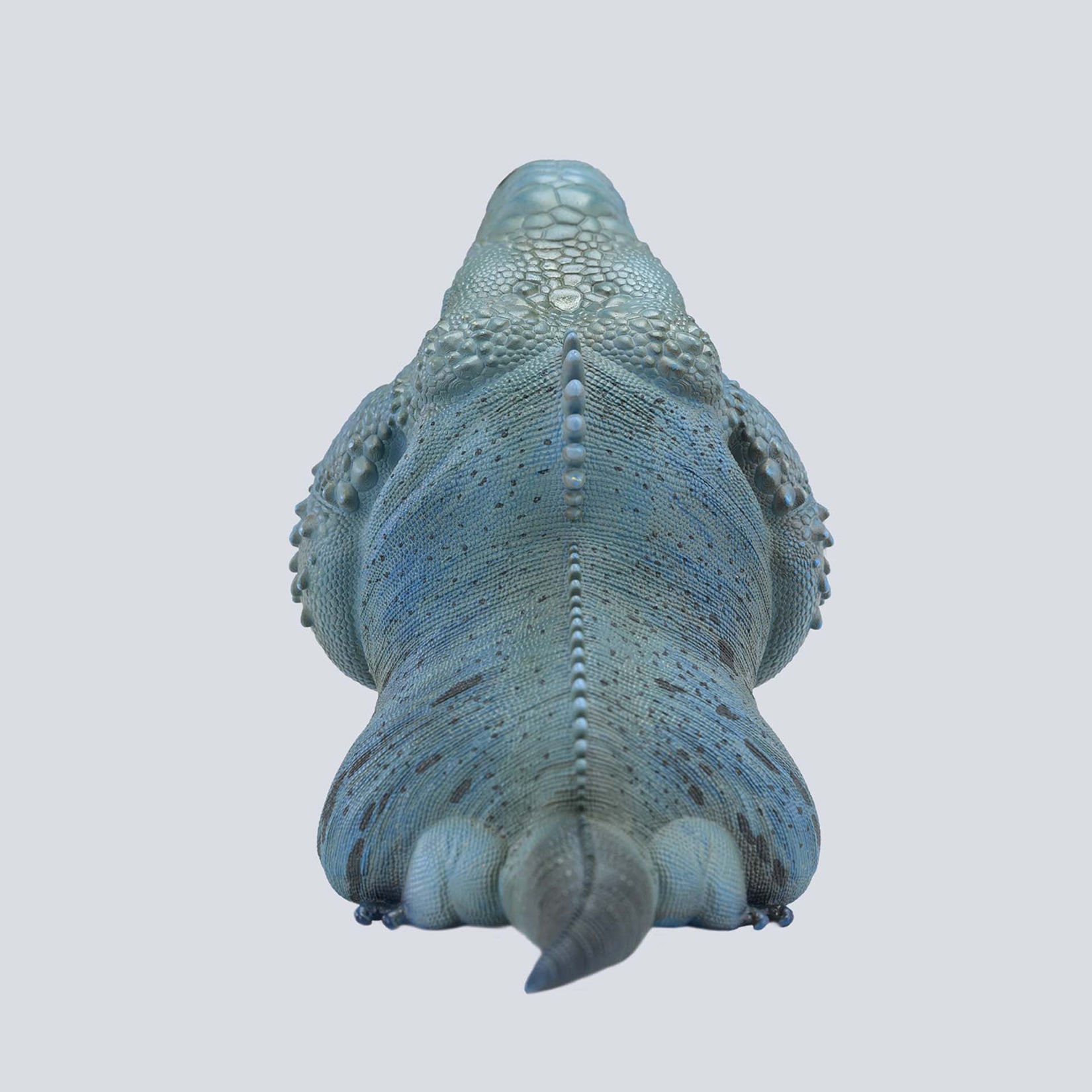 Animal Planet 16 Lizard Blind Box Model