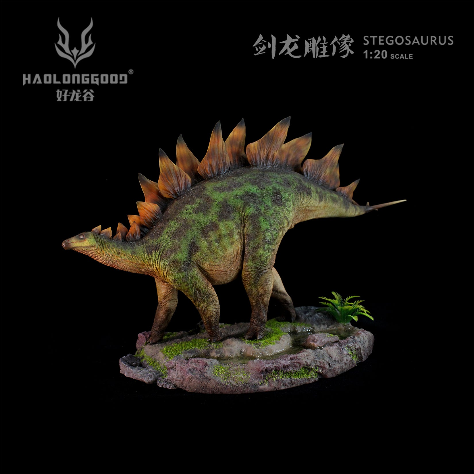 HAOLONGGOOD 1:20 Scale Stegosaurus Model