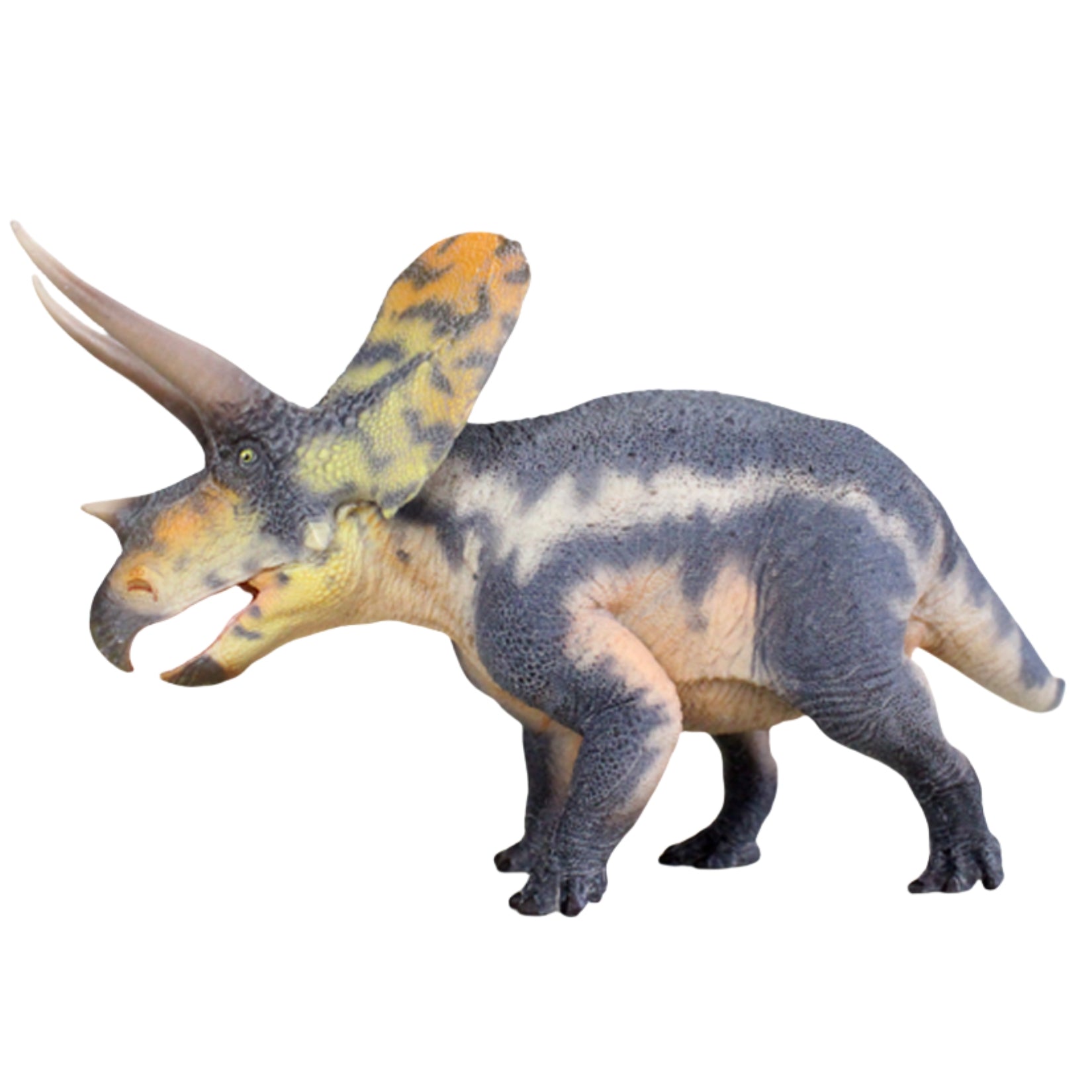 HAOLONGGOOD 1:35 Scale Torosaurus Model