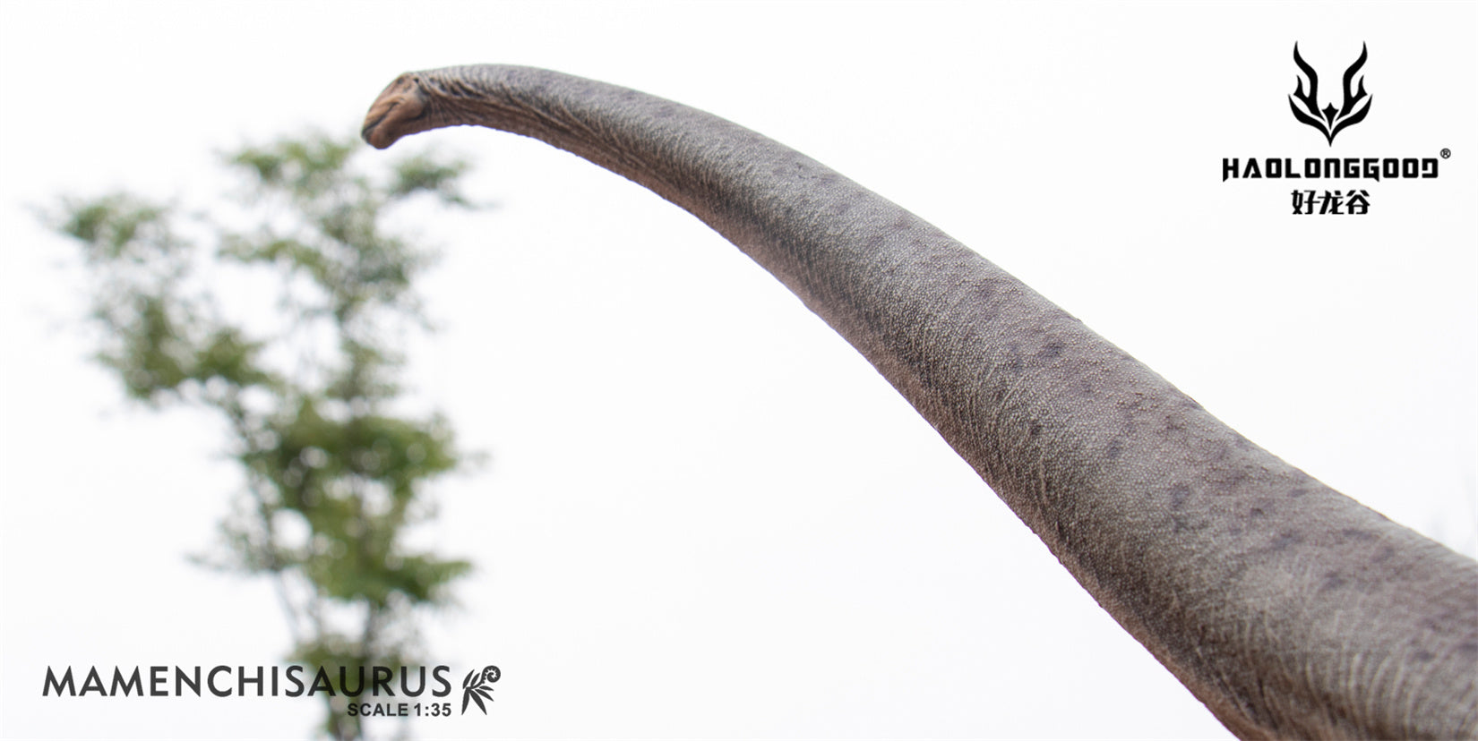 HAOLONGGOOD 1:35 Scale Mamenchisaurus Model