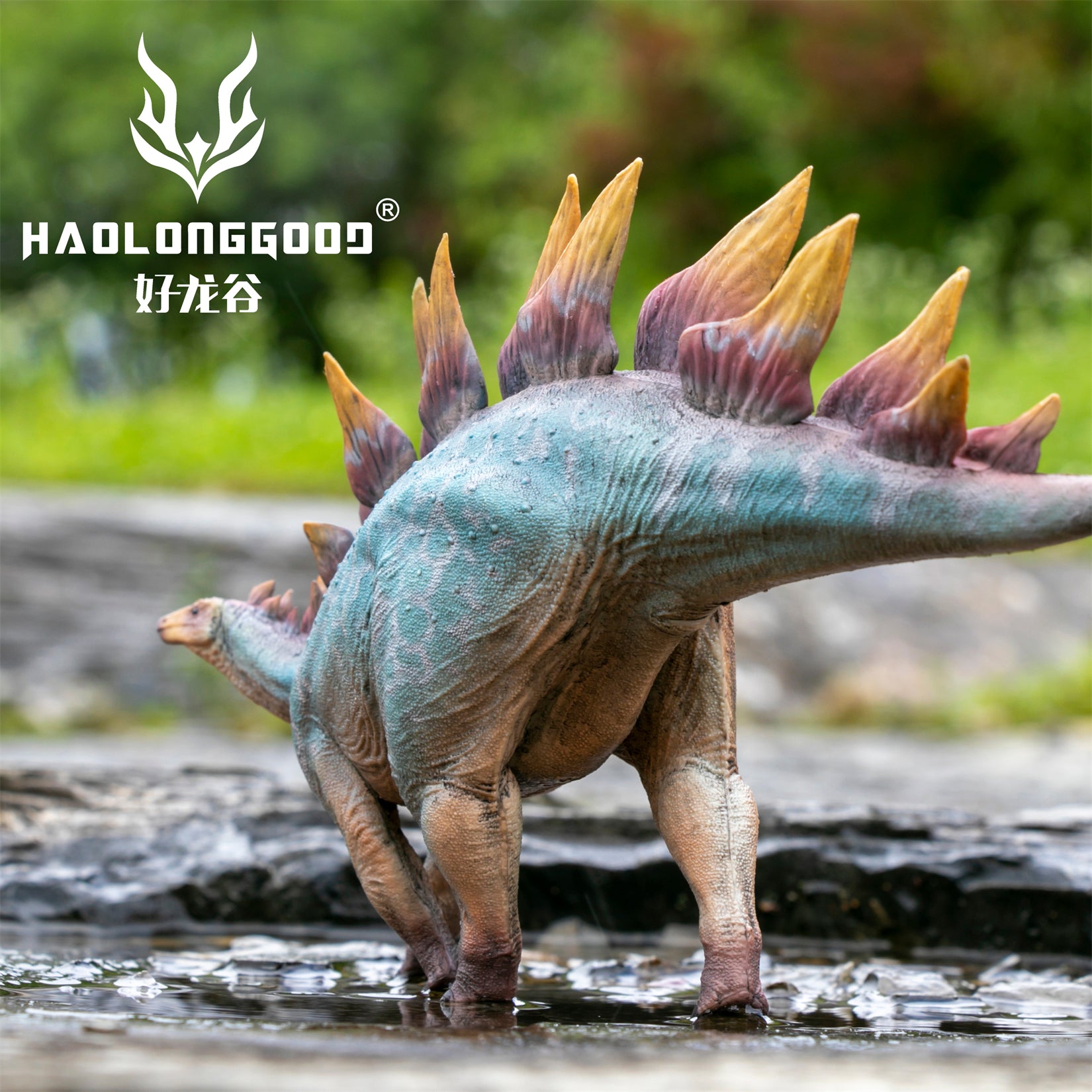 HAOLONGGOOD 1:35 Scale Stegosaurus Model