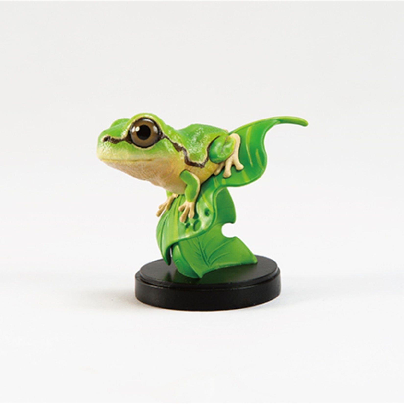 Hongshan Forest Zoo Spotless Tree Frog Model