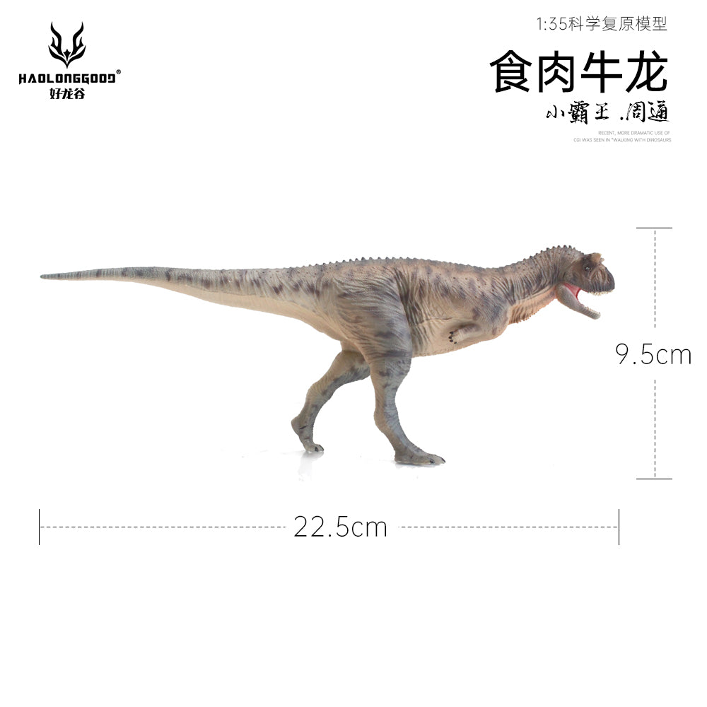 HAOLONGGOOD 1:35 Carnotaurus Model