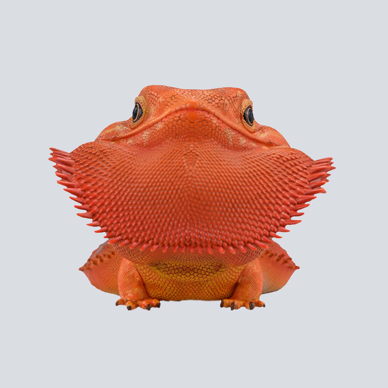 Animal Planet 16 Lizard Blind Box Model