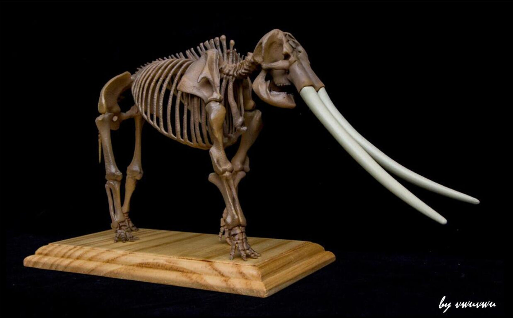 VWUVWU 1/20 Huanghe Flumen Stegodon Skeleton Model