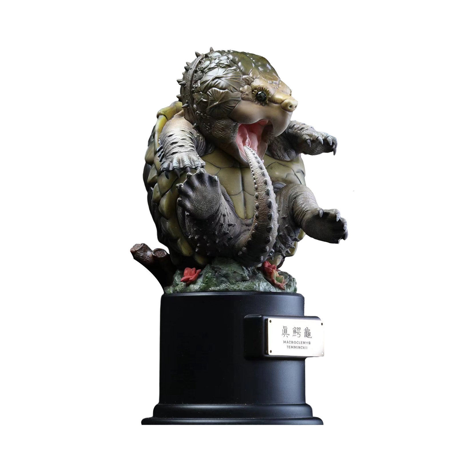 Snapping Turtle Model