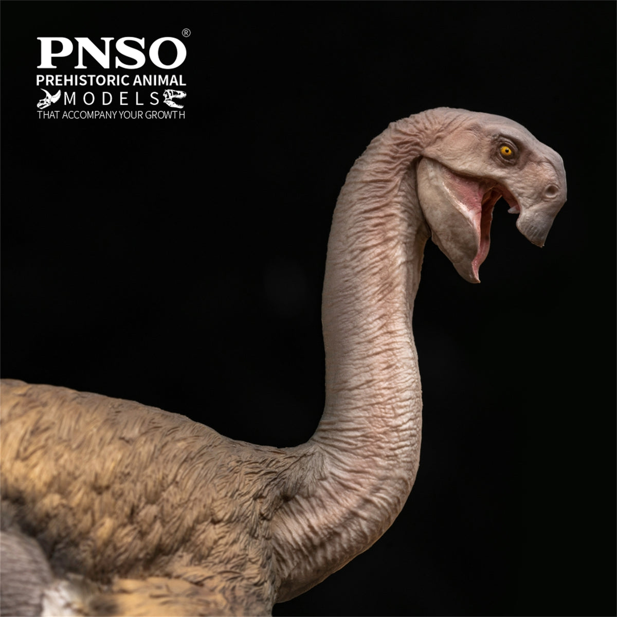 PNSO 99 Gigantoraptor Munkh Model
