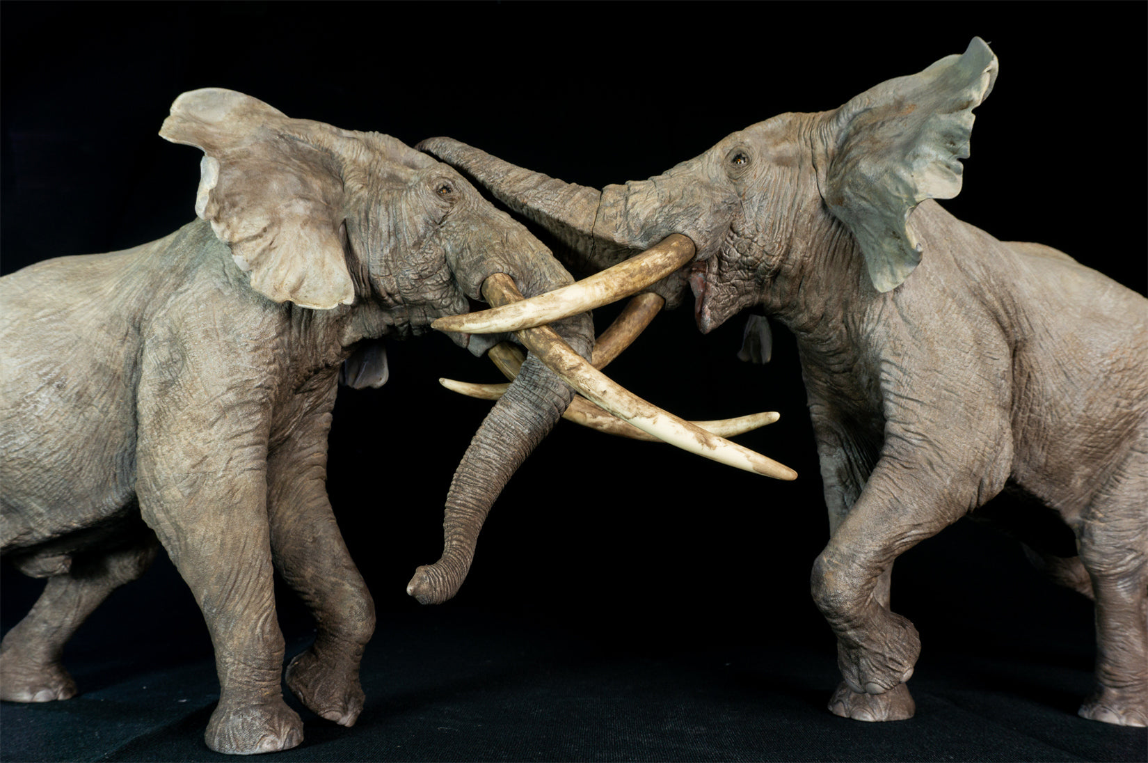 De CLAY Studio African Elephant battling bulls Statue