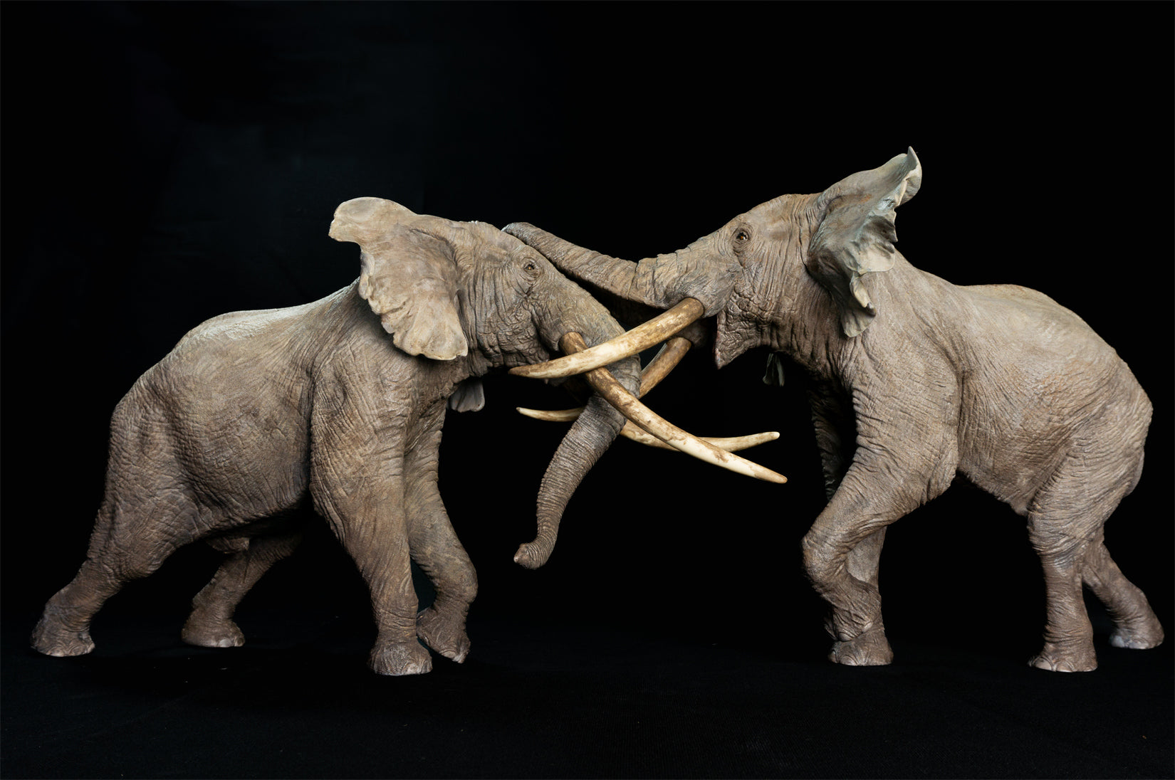 De CLAY Studio African Elephant battling bulls Statue